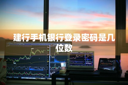 建行手机银行登录密码是几位数