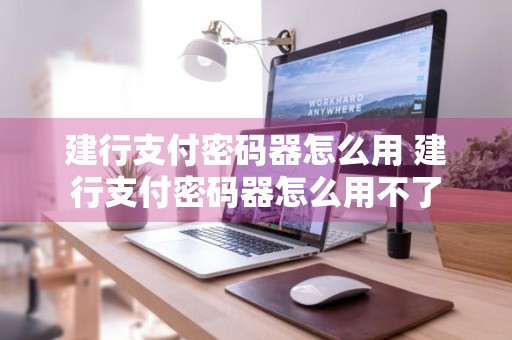 建行支付密码器怎么用 建行支付密码器怎么用不了