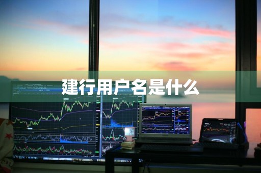 建行用户名是什么