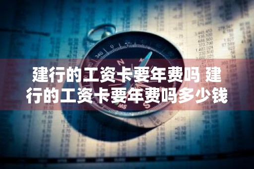 建行的工资卡要年费吗 建行的工资卡要年费吗多少钱