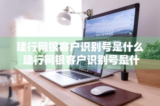 建行网银客户识别号是什么 建行网银客户识别号是什么意思