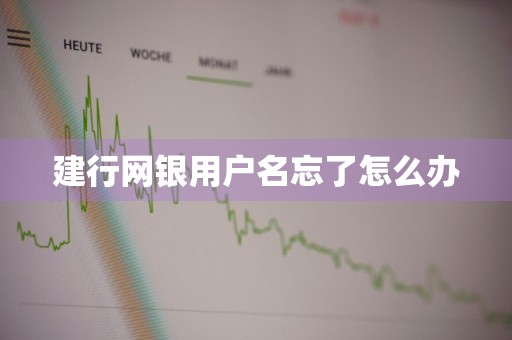 建行网银用户名忘了怎么办