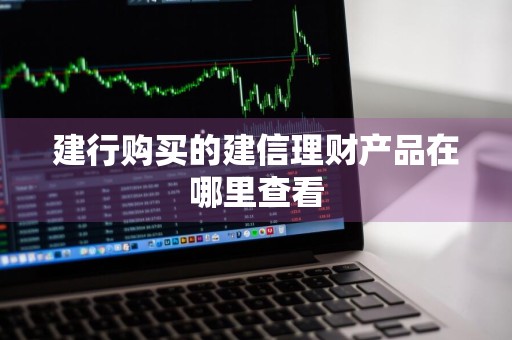 建行购买的建信理财产品在哪里查看