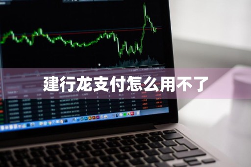 建行龙支付怎么用不了