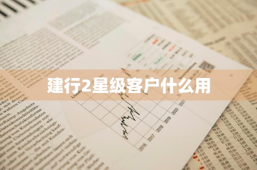 建行2星级客户什么用