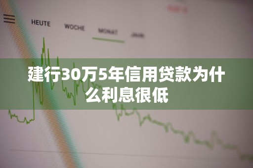 建行30万5年信用贷款为什么利息很低