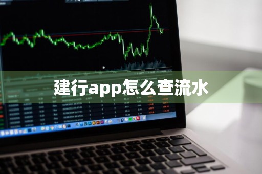 建行app怎么查流水