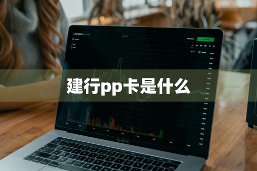 建行pp卡是什么