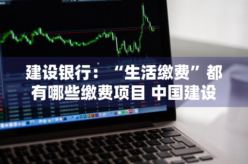 建设银行：“生活缴费”都有哪些缴费项目 中国建设银行生活缴费