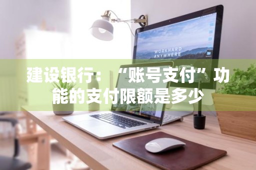 建设银行：“账号支付”功能的支付限额是多少