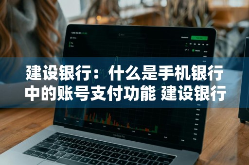 建设银行：什么是手机银行中的账号支付功能 建设银行:什么是手机银行中的账号支付功能呢