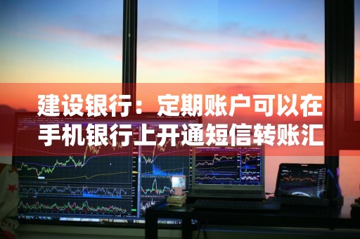 建设银行：定期账户可以在手机银行上开通短信转账汇款和缴费充值服务吗