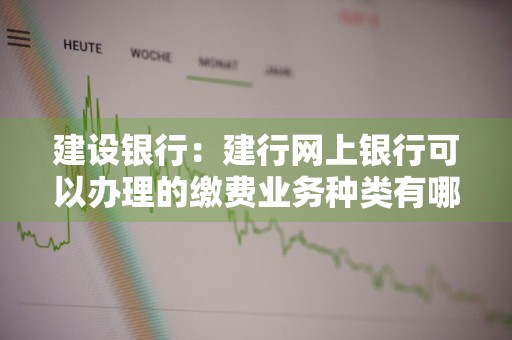 建设银行：建行网上银行可以办理的缴费业务种类有哪些 建设银行网上缴费指南