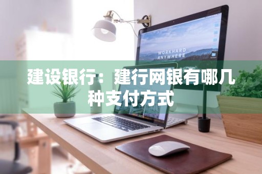 建设银行：建行网银有哪几种支付方式