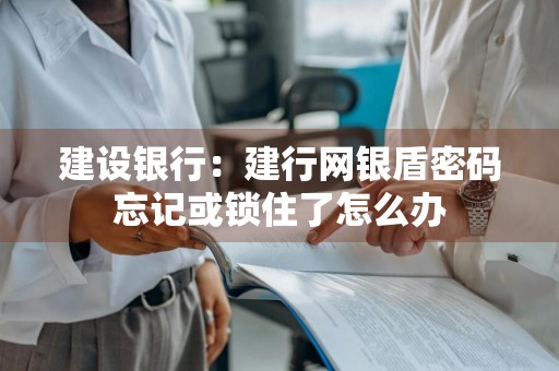 建设银行：建行网银盾密码忘记或锁住了怎么办