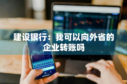 建设银行：我可以向外省的企业转账吗