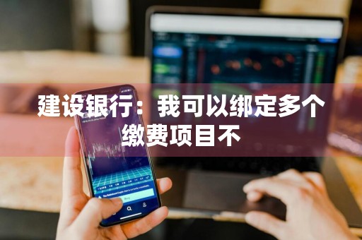 建设银行：我可以绑定多个缴费项目不