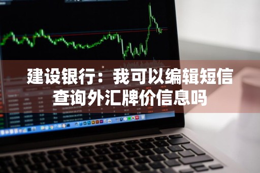 建设银行：我可以编辑短信查询外汇牌价信息吗