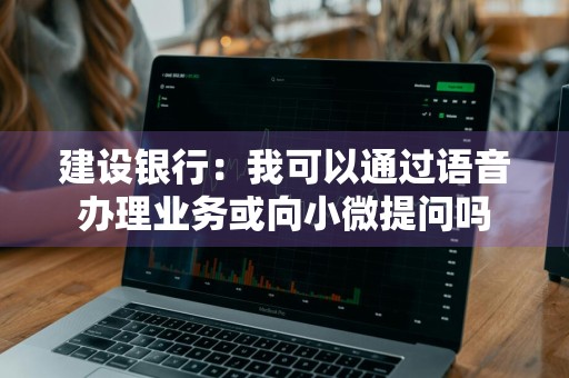 建设银行：我可以通过语音办理业务或向小微提问吗