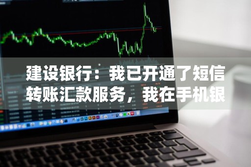 建设银行：我已开通了短信转账汇款服务，我在手机银行上追加开通短信转账汇款和约定账户，系统怎么还提示要验证账户密码呢 