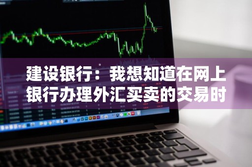 建设银行：我想知道在网上银行办理外汇买卖的交易时间