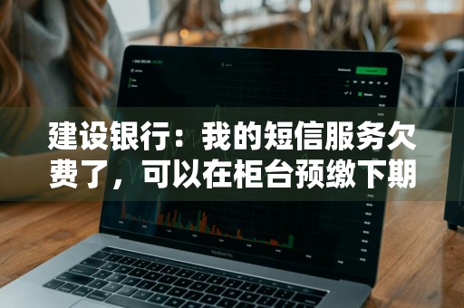 建设银行：我的短信服务欠费了，可以在柜台预缴下期服务费吗
