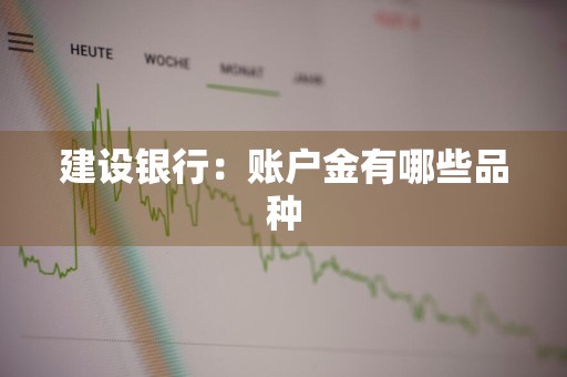 建设银行：账户金有哪些品种