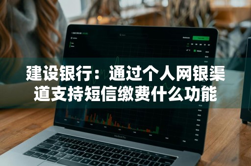 建设银行：通过个人网银渠道支持短信缴费什么功能