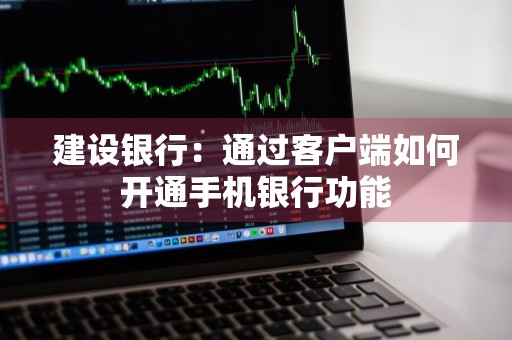 建设银行：通过客户端如何开通手机银行功能