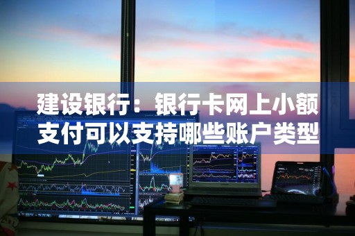 建设银行：银行卡网上小额支付可以支持哪些账户类型