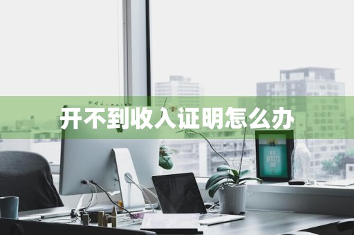 开不到收入证明怎么办