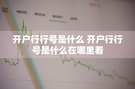 开户行行号是什么 开户行行号是什么在哪里看