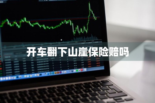 开车翻下山崖保险赔吗