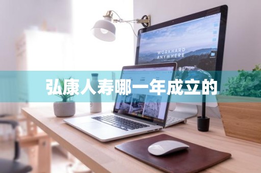 弘康人寿哪一年成立的