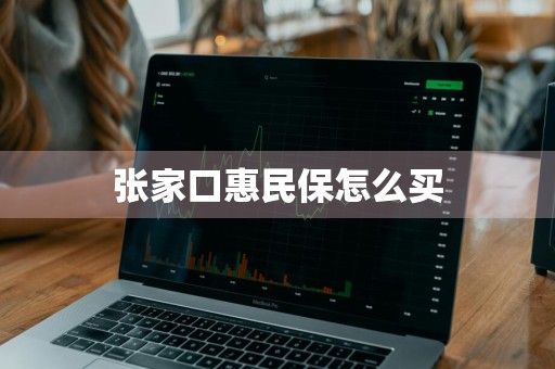 张家口惠民保怎么买