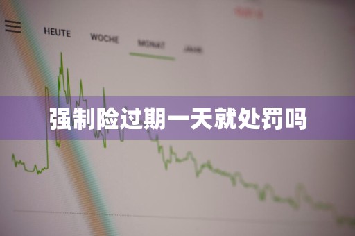 强制险过期一天就处罚吗