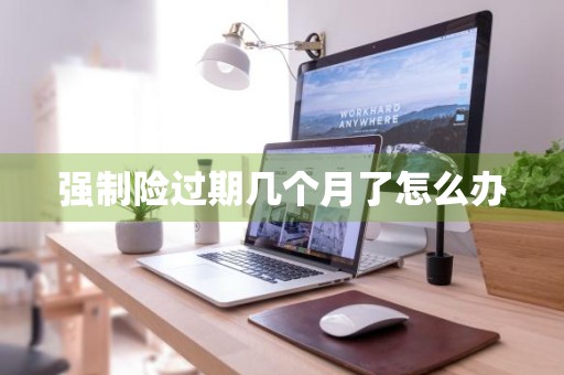 强制险过期几个月了怎么办