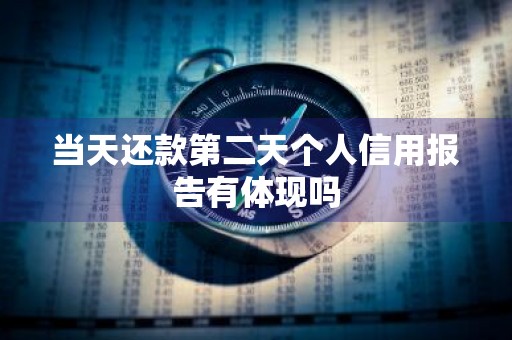 当天还款第二天个人信用报告有体现吗