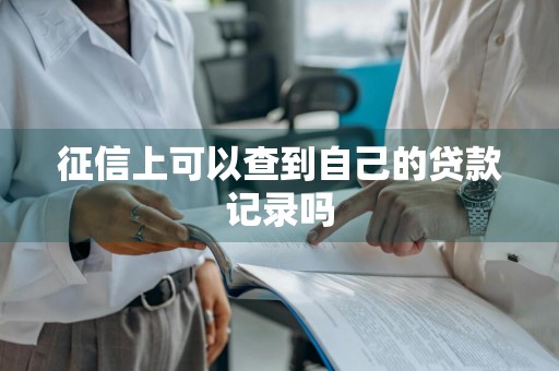 征信上可以查到自己的贷款记录吗