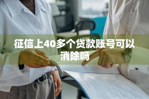 征信上40多个贷款账号可以消除吗