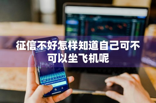 征信不好怎样知道自己可不可以坐飞机呢
