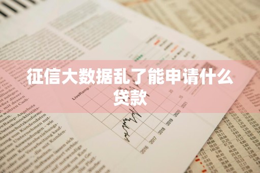 征信大数据乱了能申请什么贷款