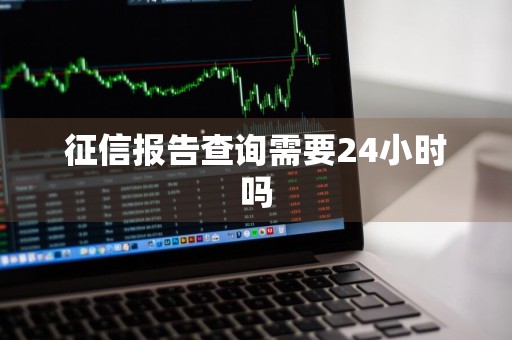 征信报告查询需要24小时吗