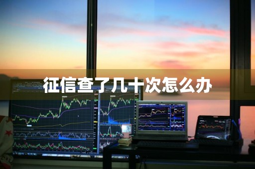 征信查了几十次怎么办