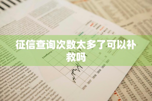 征信查询次数太多了可以补救吗