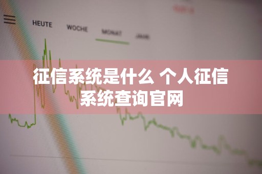 征信系统是什么 个人征信系统查询官网