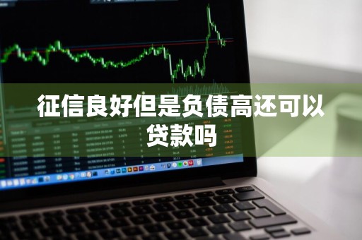 征信良好但是负债高还可以贷款吗