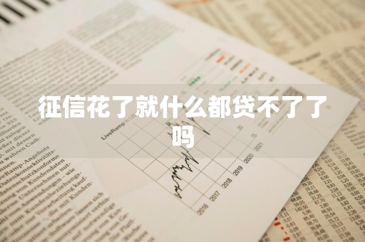 征信花了就什么都贷不了了吗