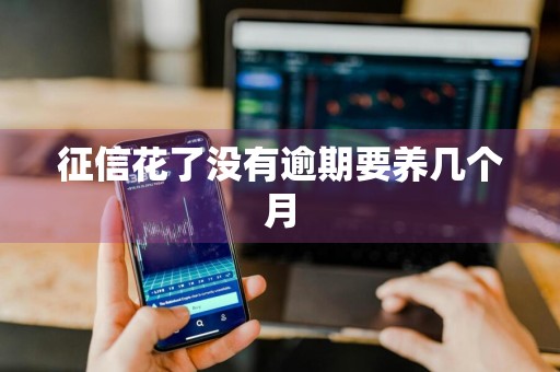 征信花了没有逾期要养几个月