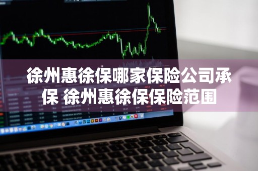 徐州惠徐保哪家保险公司承保 徐州惠徐保保险范围